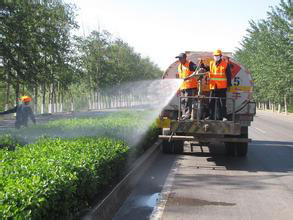 道路綠化養(yǎng)護.jpg 道路綠化養(yǎng)護.jpg