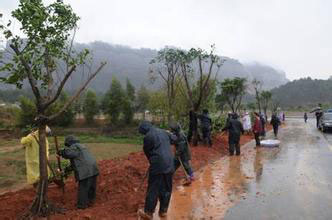 綠化養(yǎng)護種植.jpg 綠化養(yǎng)護種植.jpg