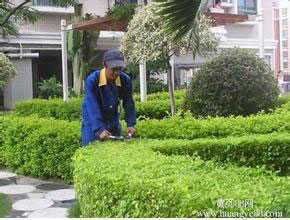 小區(qū)綠化養(yǎng)護(hù).jpg 小區(qū)綠化養(yǎng)護(hù).jpg